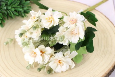 Bukiet mini warszawianki CV31831 cream