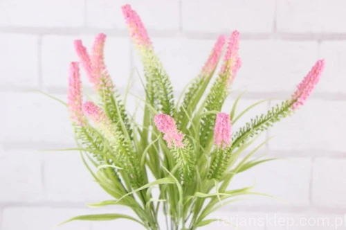 16851.JPG