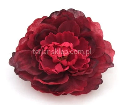 Peonia K089 (12 szt) cherry #A0635