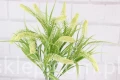 16859.JPG