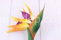 17004.JPG