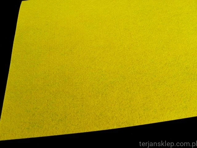 13fd6aa41ef60e8d39d32da6f1a783e1769e5600