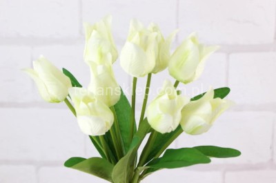 Bukiet tulipanów CV26811 cream green #1