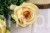17170.JPG