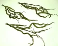 e6b573ecd4208585bcf38fbf98e82c54cecdd7b9