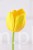 17405.JPG