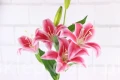 17633.JPG