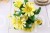 17809.JPG