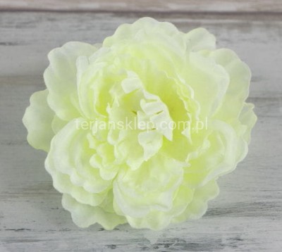 Peonia K089 (12 szt) green cream (j.cytryna)