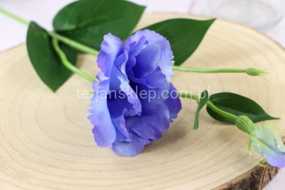 Eustoma SUN357 (12 szt) blue #1847