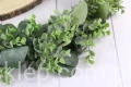 18432.JPG