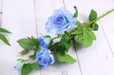 Gał. róża "3" SUN130 pearl blue #3351