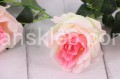 18802.JPG