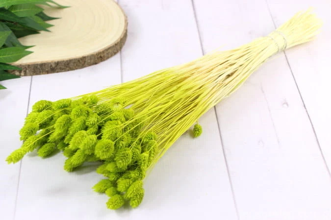 18739.JPG