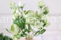 18932.JPG