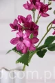 18927.JPG
