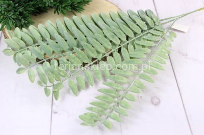 Liść akacji "akwarele" EV308 (6 szt) powder green