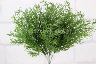 Algi gałązki / asparagus (12 szt) TIK150 green