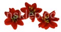 27ddd0c3615fe84d64404ab244914f2e5cda21cb