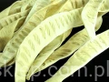 f096ebe58ce3db7a210360ca9b62243905b4e741