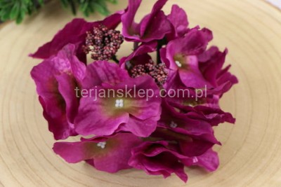 Hortensja L036 / J015 burgundy H14