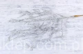 00006863.JPG
