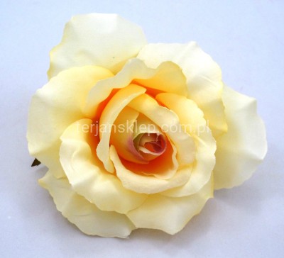 Róża wyrobowa F004 new aut yellow #25f10