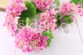 20718.JPG