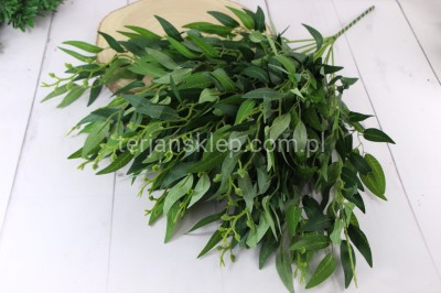 Gałąź Ruskus LIU388 (12 szt) dr green