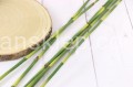 21327.JPG