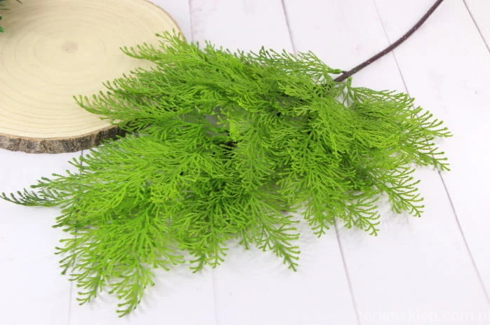 21506.JPG