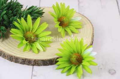 Jeżówka wyrobowa AL012 (24 szt) green S640