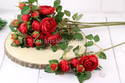 Dzika róża EDEN ROSE (6 gał.) SUN760 rubin #1746