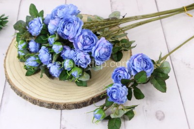 Dzika róża EDEN ROSE (6 gał.) SUN760 lt blue #3349