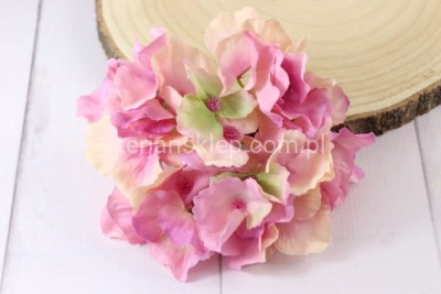 Hortensja wyrobowa SUN644 rose green #3097