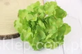 21678.JPG