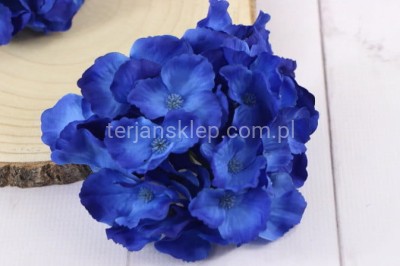 Hortensja wyrobowa SUN644 dr blue #3496