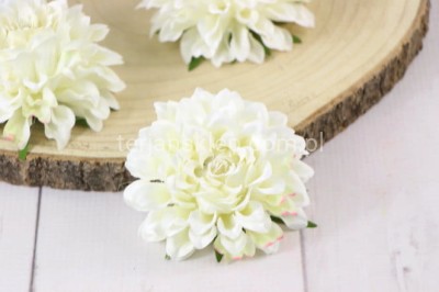 Dalia wyrobowa PIĘKNA SUN757 (12 szt) cream #1449Y