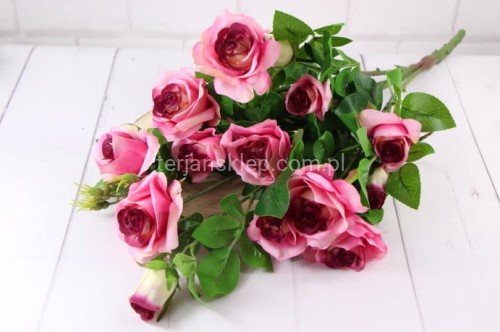 21877.JPG