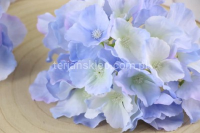 Hortensja wyrobowa SUN644 lt blue #2477