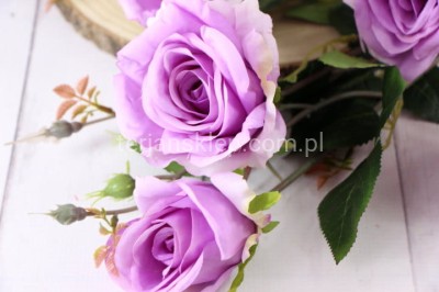 Bukiet WYSOKI róż CH7 B lilac