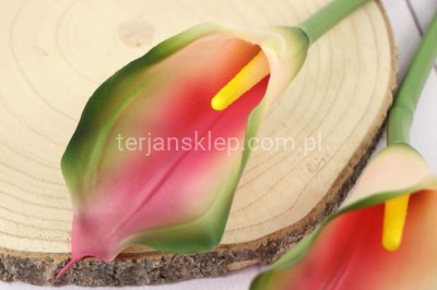 Calla gumowa ANA1013 green pink #193 