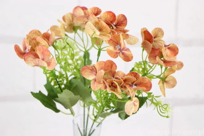 22233.JPG