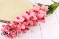 22428.JPG