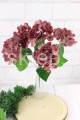 22550.JPG