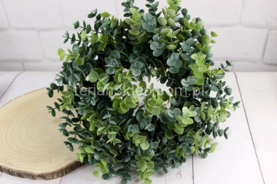 Wianek eukaliptusowy  CV26073