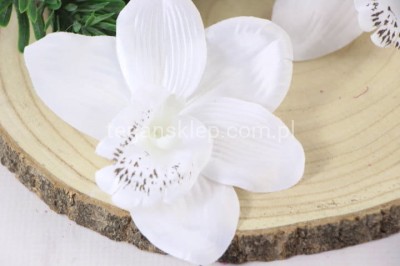 Storczyk wyrobowy CL1015 (12 szt) white
