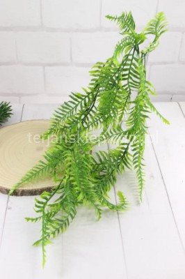 Paprotka plast. ZWIS CV32611  zieleń soczysta #2