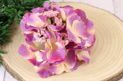 Hortensja L036 aut lilac #C6058