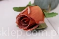23885.JPG